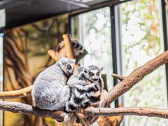 -海合安武汉极地海洋公园