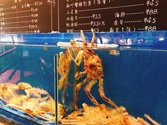 -綱元·海鲜豆捞(明州里店)