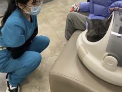 -美联众合动物医院·24h转诊中心