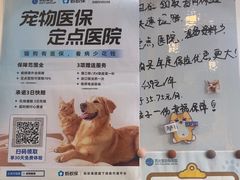 -芭比堂动物医院·心脏科·老年急重症·夜诊·吉雅分院