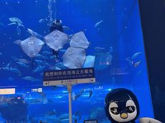 -成都浩海立方海洋公园