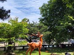 -庐山风景区花径公园