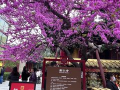 -西安市广仁寺