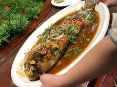 大鱼-茶啊冲电影主题文化餐厅(TOUCH12街店)