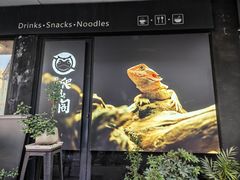 -酷以爬仙阁实体爬宠店·守宫·蜥蜴·专业繁育
