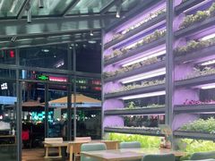 大堂-蔡澜PHO(海岸城店)
