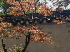 -虎丘山风景名胜区