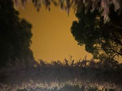 -南汇桃花村