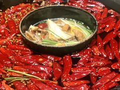 -渝大狮毛肚老火锅(普陀店)