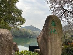 -白马涧龙池景区