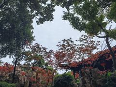 -个园