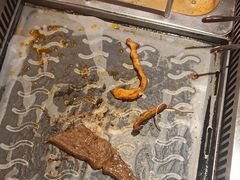 -星伦多自助料理·涮烤一体(虹悦城店)
