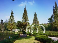 -昆山城市生态森林公园