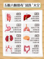 -香薇妮丝女子减肥院