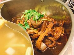 -今日炊牛·潮汕牛肉火锅(华采天地店)