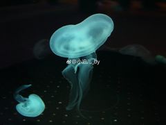 -横店影视城梦幻谷园区