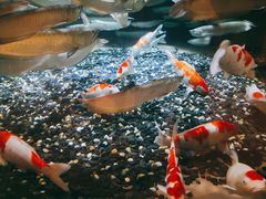 -成都浩海立方海洋公园