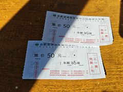 -合肥滨湖国家森林公园