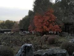 -黑龙江省森林植物园