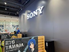 -Sony Store 索尼(来福士店)