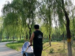 -东郊湿地公园