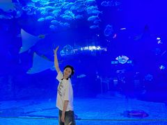 -烟台海昌鲸鲨海洋公园