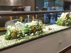 -宋宴(虎跑店)