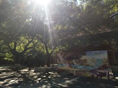 -中央音乐学院歌剧音乐厅