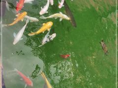 -海文实验幼儿园