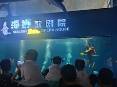 -华夏文旅海洋公园