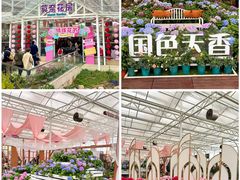 -盈香心动乐园