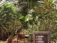 -龙达温泉生态城
