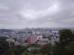 -福道