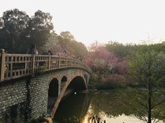 -华南国家植物园-售票处