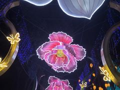 -武汉园博园(武汉自然博物馆)