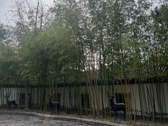-龙潭水乡