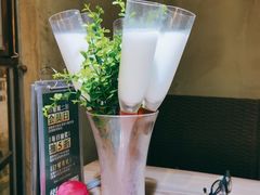 -探窝·竹笙椰子鸡(杨箕店)