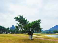 -南宁花花大世界景区