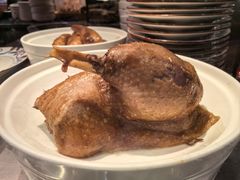 -陈鹏鹏潮汕菜(宝安机场T3航站楼店)