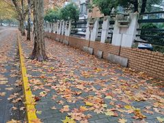 -建德花园海棠苑