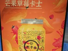 -野萃山·潮汕厚果汁(十亩地店)