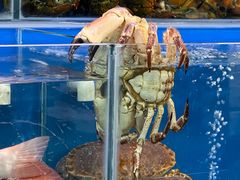 -岳各庄批发市场(西四环中路店)