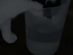 -科道动物医院·急重症中心(万达院)