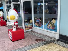 -海合安成都极地海洋公园