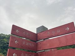 -广州市帽峰山景区