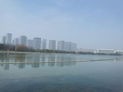 -尚贤河湿地