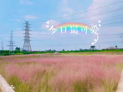 -王借岗森林公园