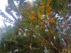 -南通博物苑-崇川人民公园