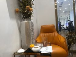 -YESIDO椰岛造型