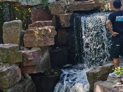 -水绘园